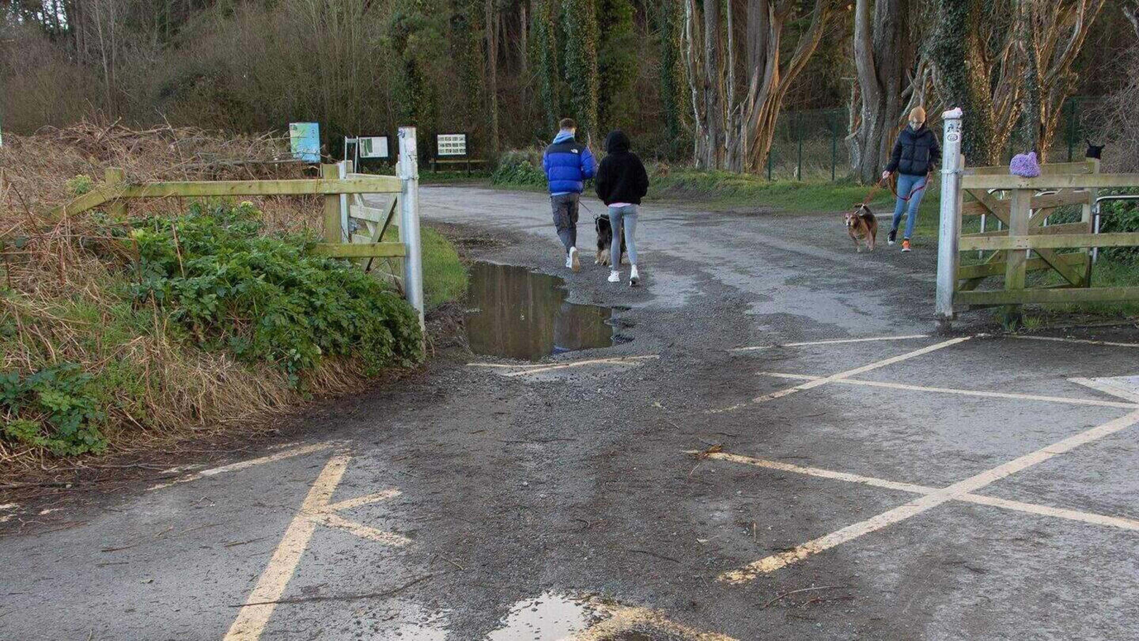 Toilets, showers, and changing facilities to be built at Wexford’s Raven Nature Reserve